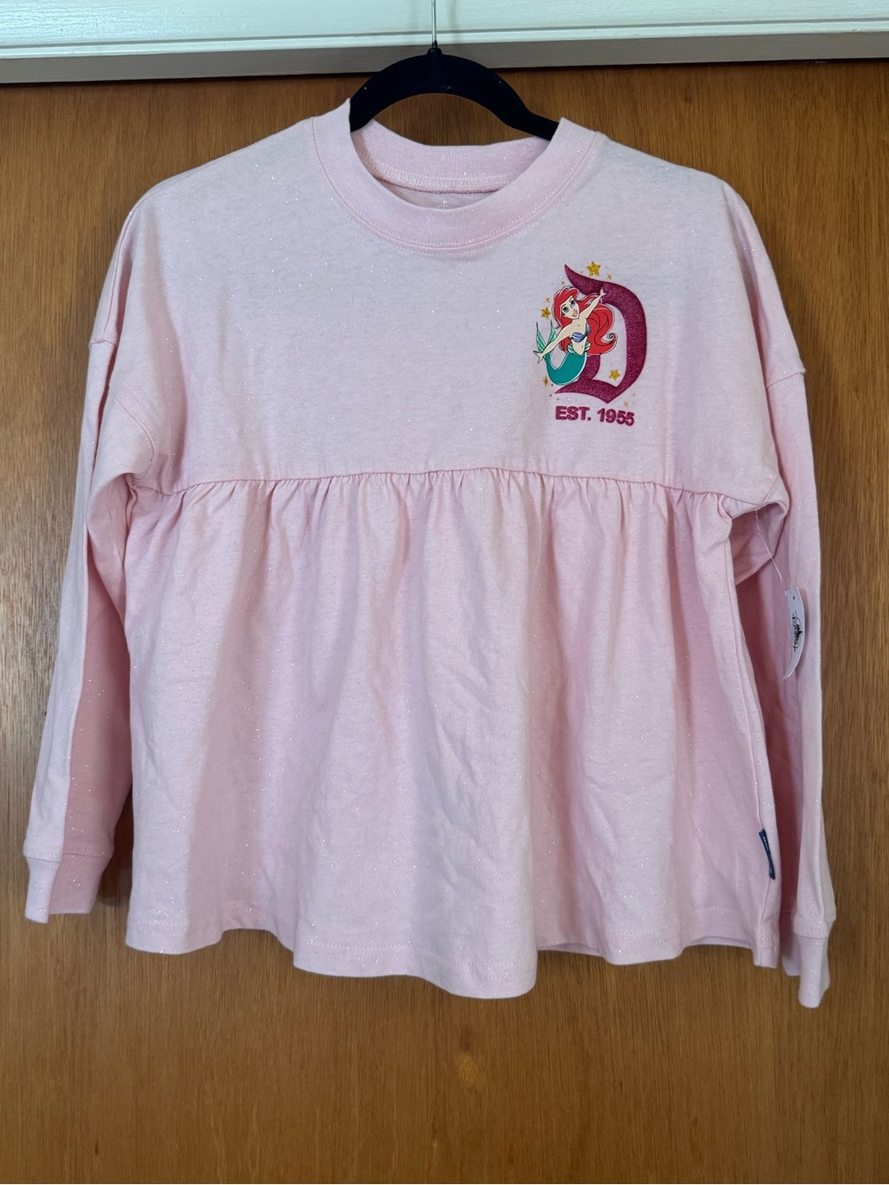 Disney princesses spirit jersey. Youth large NWT
